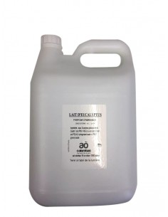 Brume de Hammam 5 litres Eucalyptus