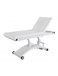 Table de Massage Électrique Cervic
