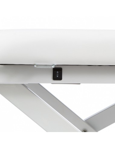 Table de Massage Électrique Latis