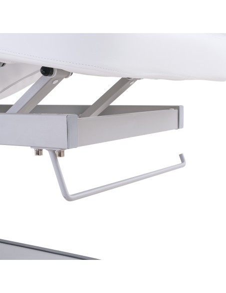 Table de Massage Spa Électrique Moldavi 3 Moteurs LED | Pro