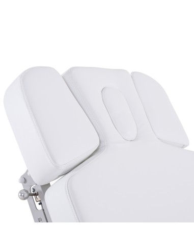 Table de Massage Spa Électrique Moldavi 3 Moteurs LED | Pro