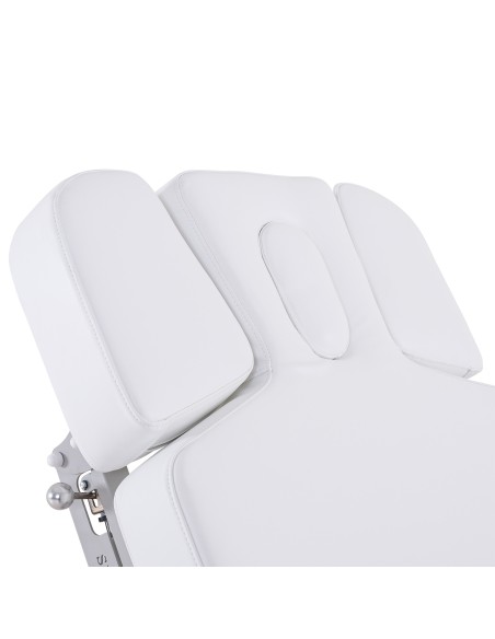 Table de Massage Spa Électrique Moldavi 3 Moteurs LED | Pro