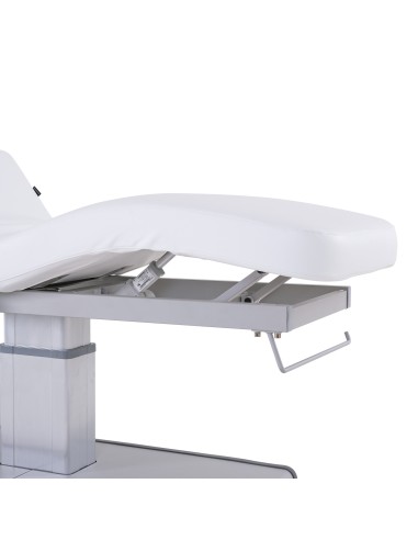 Table de Massage Spa Électrique Moldavi 3 Moteurs LED | Pro
