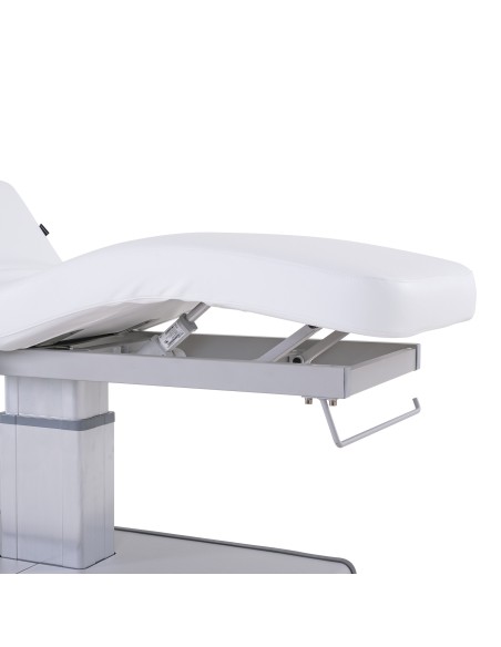 Table de Massage Spa Électrique Moldavi 3 Moteurs LED | Pro