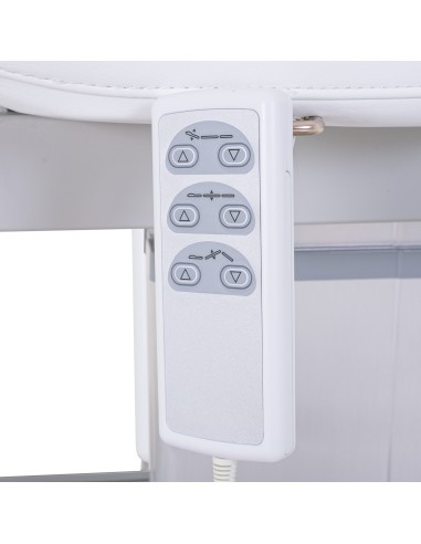 Table de Massage Spa Électrique Moldavi 3 Moteurs LED | Pro