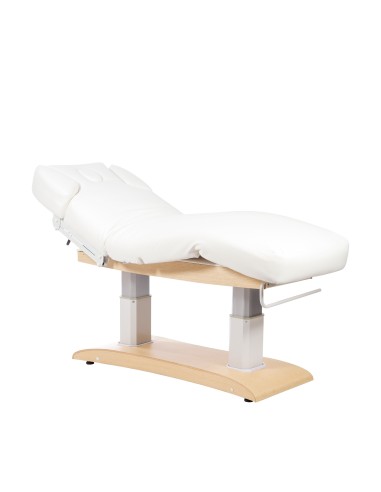 Table de Massage Spa Chauffante Chara Warm 4 Moteurs | Pro