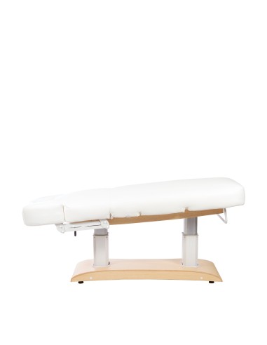 Table de Massage Spa Chauffante Chara Warm 4 Moteurs | Pro