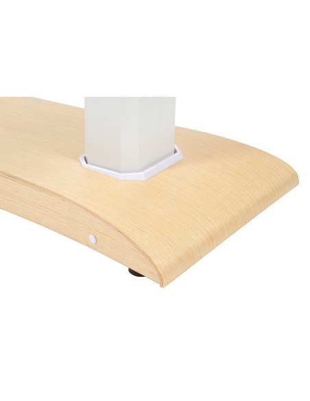 Table de Massage Spa Chauffante Chara Warm 4 Moteurs | Pro