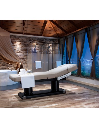 Table de Massage Spa Chauffante Qaus Warm 4 Moteurs | Pro