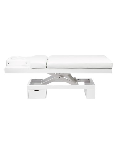 Table de Massage Spa Lumineuse Chauffante Limb Warm | Pro