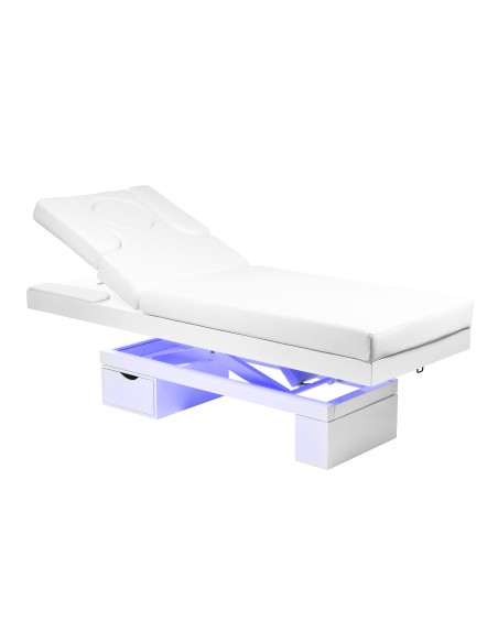 Table de Massage Spa Lumineuse Chauffante Limb Warm | Pro