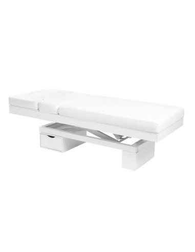 Table de Massage Spa Lumineuse Chauffante Limb Warm | Pro