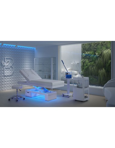 Table de Massage Spa Lumineuse Chauffante Limb Warm | Pro