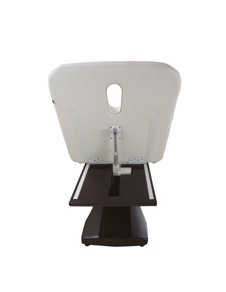 Table de Massage Spa Électrique en Bois Lina 2 Moteurs | Pro