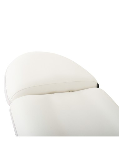 Fauteuil d'Esthétique Électrique Aqua 3 Moteurs | Confort Pro