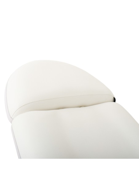 Fauteuil d'Esthétique Électrique Aqua 3 Moteurs | Confort Pro