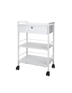 Guéridon - Chariot Professionnel ULEX | Métal & Verre pour Salon et SPA