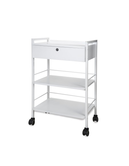 Guéridon - Chariot Professionnel ULEX | Métal & Verre pour Salon et SPA