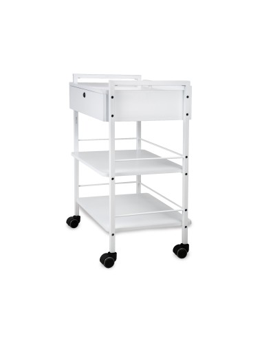 Guéridon - Chariot Professionnel ULEX | Métal & Verre pour Salon et SPA