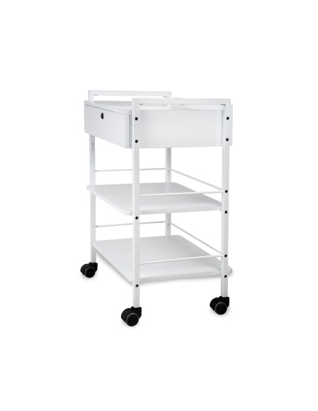 Guéridon - Chariot Professionnel ULEX | Métal & Verre pour Salon et SPA