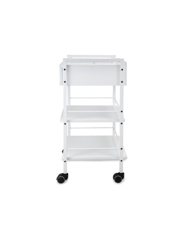 Guéridon - Chariot Professionnel ULEX | Métal & Verre pour Salon et SPA