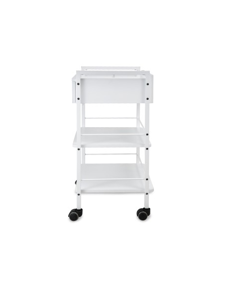 Guéridon - Chariot Professionnel ULEX | Métal & Verre pour Salon et SPA