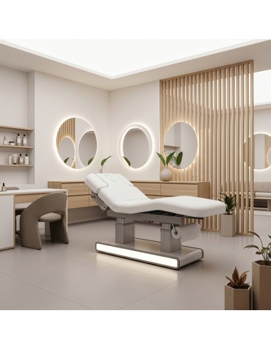 Table de Massage Spa Électrique Moldavi+ 4 Moteurs LED | Pro