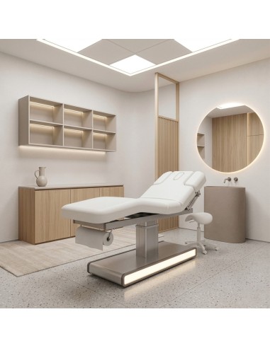 Table de Massage Spa Électrique Moldavi 3 Moteurs LED | Pro