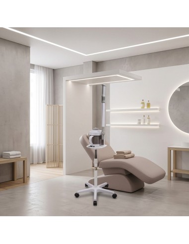 Vapozone Facial Professionnel Mulli | Fonction Ozone & Aromathérapie