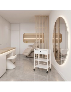 Guéridon - Chariot Professionnel ULEX | Métal & Verre pour Salon et SPA