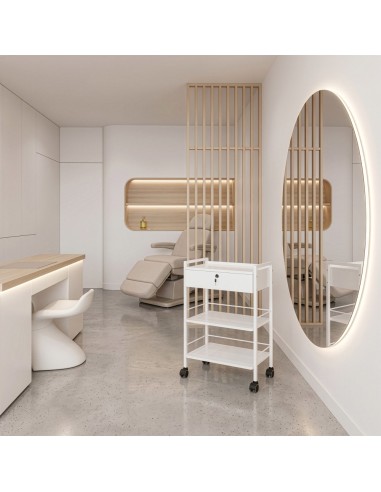 Guéridon - Chariot Professionnel ULEX | Métal & Verre pour Salon et SPA