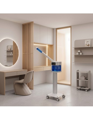 Vapozone Facial Digital Wei | Écran Tactile & Fonction Ozone