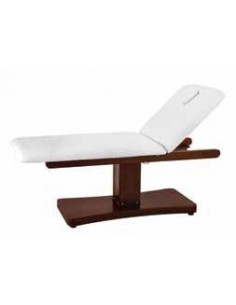 Electric Spa Bed Trapp