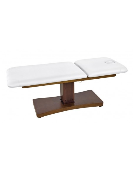 Electric Spa Bed Trapp