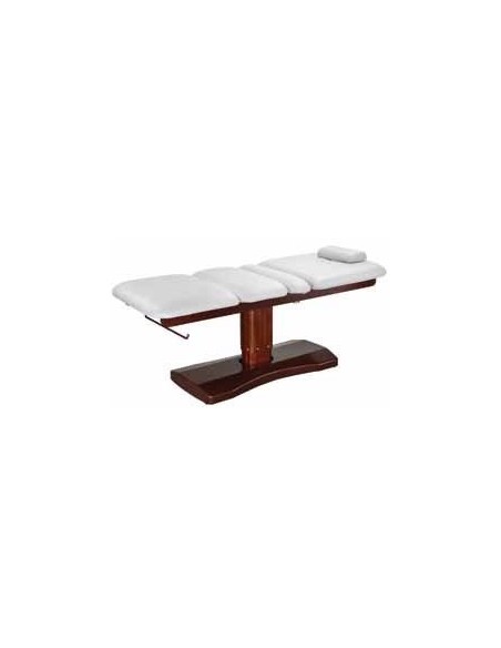 Electric Spa Bed Ulna